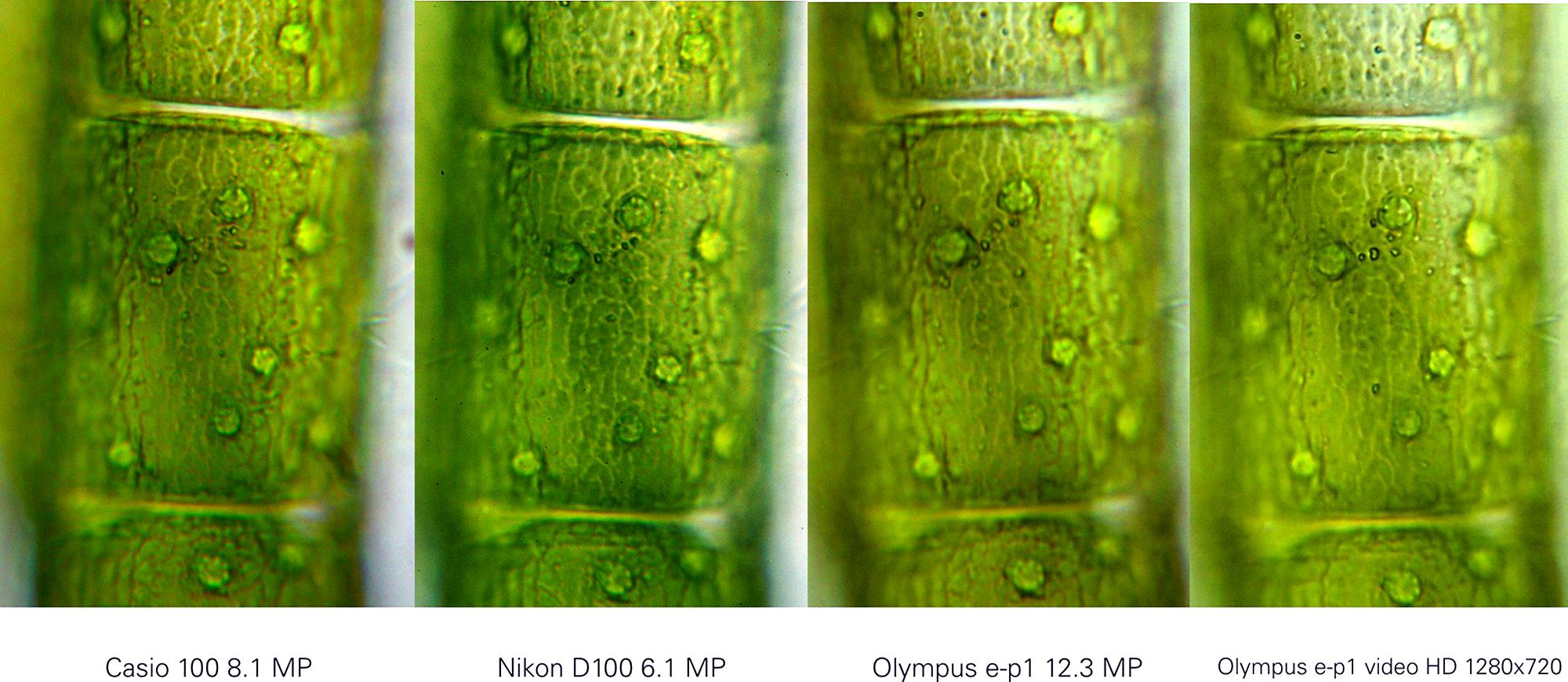 Prove comparative fotocamere